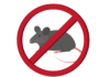 Prevent Mice in the Kitchen