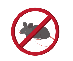 prevent mice in the home