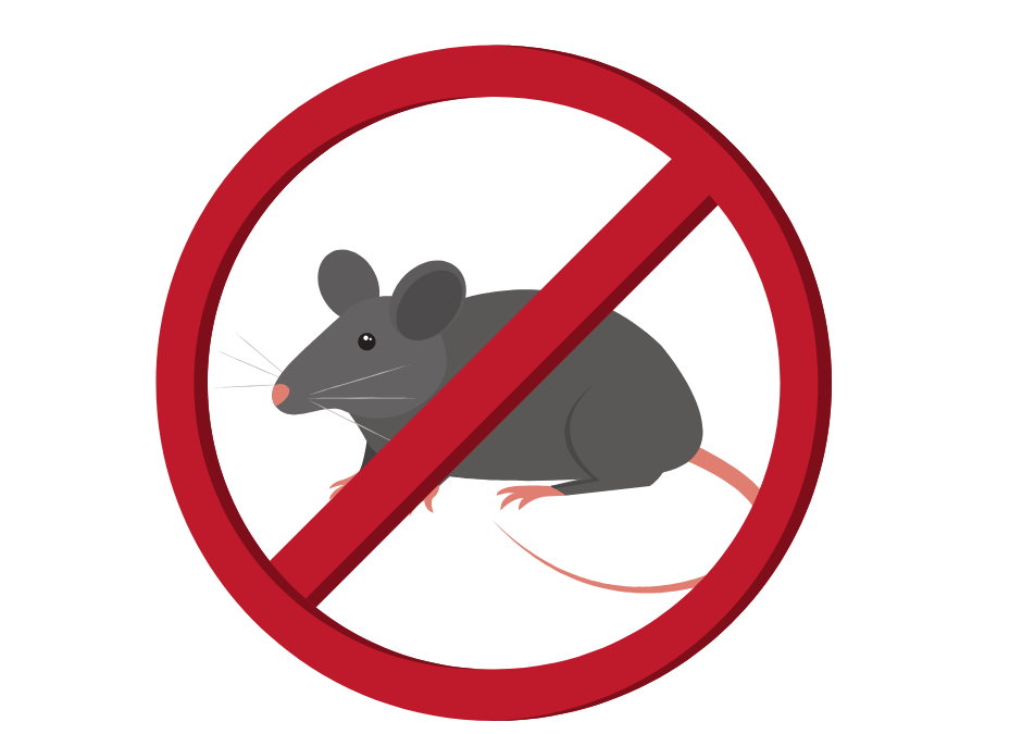Prevent Mice in the Kitchen
