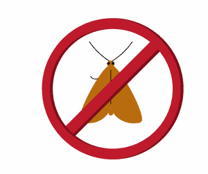 stop pantry moths in the kitchen