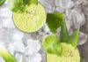 14 Breakfast Green Smoothies