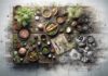 Best Tips For Rustic Food Styling: Universal Techniques