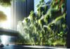 Best Recipes for Vertical Garden Harvests: Maximising Yields